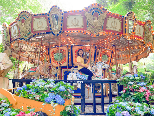【台中 新社】薰衣草森林，繡球花季開跑，4月中旬到6月底，繡球花搭配旋轉木馬，浪漫至極，晚上還有觀賞螢火蟲行程，一路從早玩到晚！！