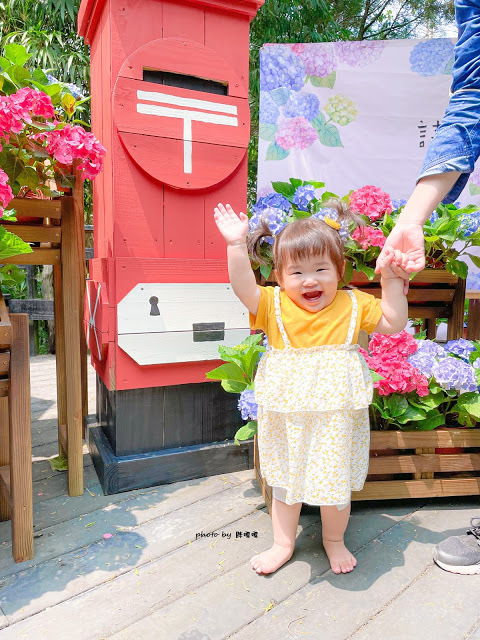 【台中 新社】薰衣草森林，繡球花季開跑，4月中旬到6月底，繡球花搭配旋轉木馬，浪漫至極，晚上還有觀賞螢火蟲行程，一路從早玩到晚！！