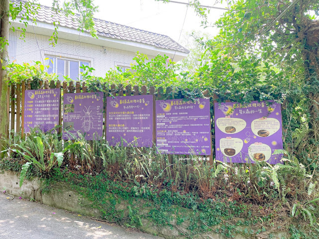 【台中 新社】薰衣草森林，繡球花季開跑，4月中旬到6月底，繡球花搭配旋轉木馬，浪漫至極，晚上還有觀賞螢火蟲行程，一路從早玩到晚！！