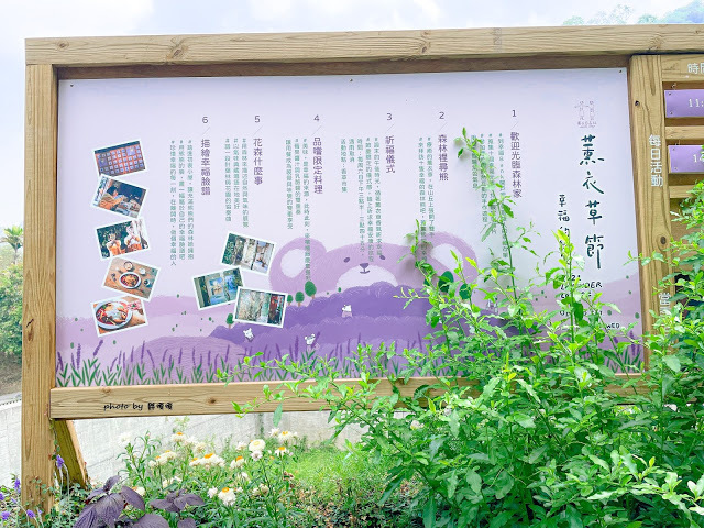 【台中 新社】薰衣草森林，繡球花季開跑，4月中旬到6月底，繡球花搭配旋轉木馬，浪漫至極，晚上還有觀賞螢火蟲行程，一路從早玩到晚！！