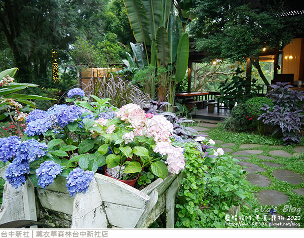 薰衣草森林台中新社店-25.jpg