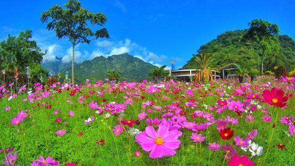 43666913_292748684670292_2161234879151341568_n