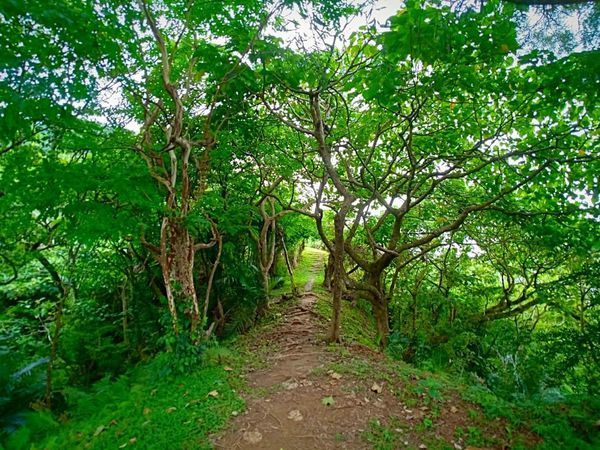 61153025_2727665303950868_4872726030369947648_n