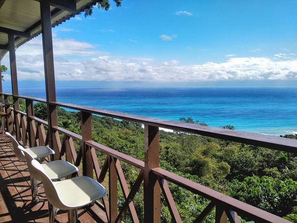 50843337_330425597569267_2193016662184165376_n