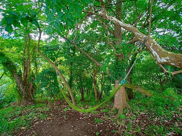 61101582_626517634425541_4647220275732021248_n