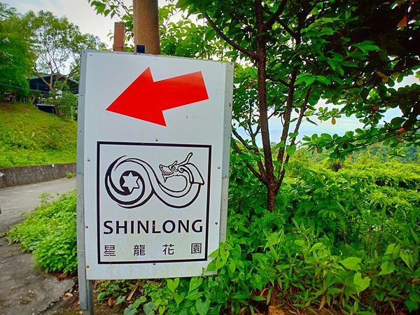 60340460_2435509773344531_2110163654962839552_n