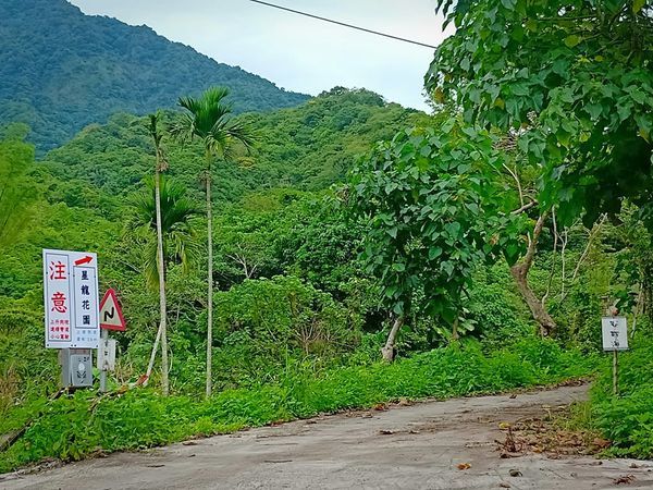 60348093_395151317996118_8995399042548629504_n