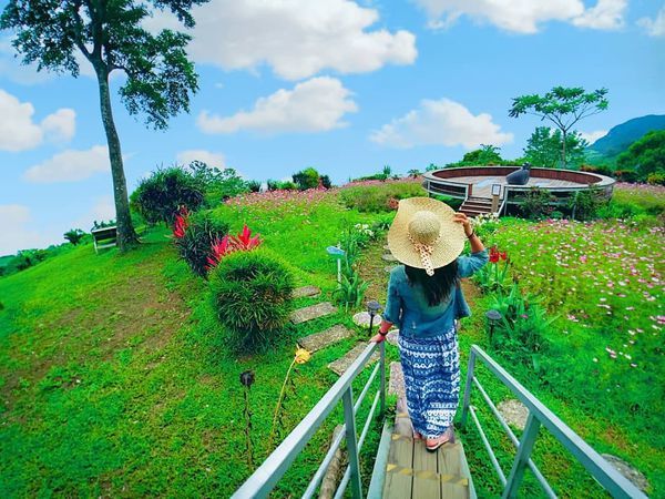 60245201_420453018749865_5646968656559603712_n