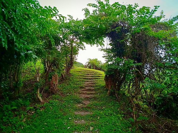 60353038_362187457740102_1716663338328391680_n