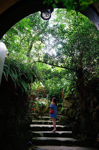 65603240_438394070073987_7034639411274842112_n