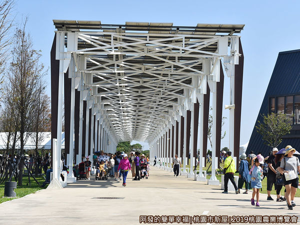 2019桃園農業博覽會04-光電廊道.JPG