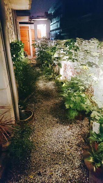 70824415_2653404124691260_3130786934058647552_n