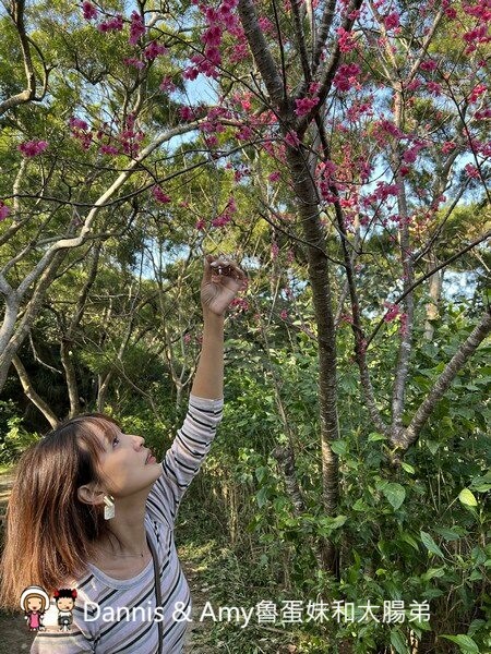 竹北運動好去處︱鳳崎落日步道 （天德堂步道、蓮花寺步道）健行去看夕陽跟戰車~中場休息來杯飲料剛剛好！ - Dannis Amy魯蛋妹大腸弟︱美食旅遊生活