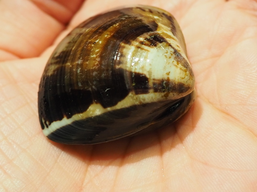 2019-09-08 14.58.27.jpg