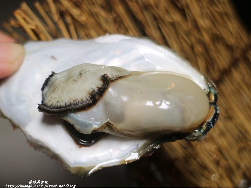 IMG_9203.JPG IMG_9203.JPG