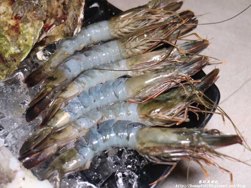 IMG_9184.JPG IMG_9184.JPG