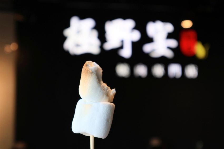 極野宴桃園燒烤吃到飽