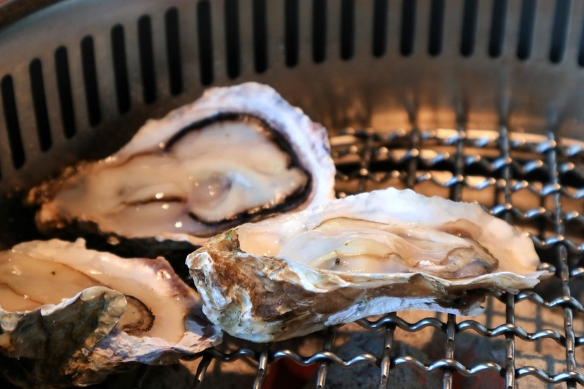 極野宴桃園燒烤吃到飽