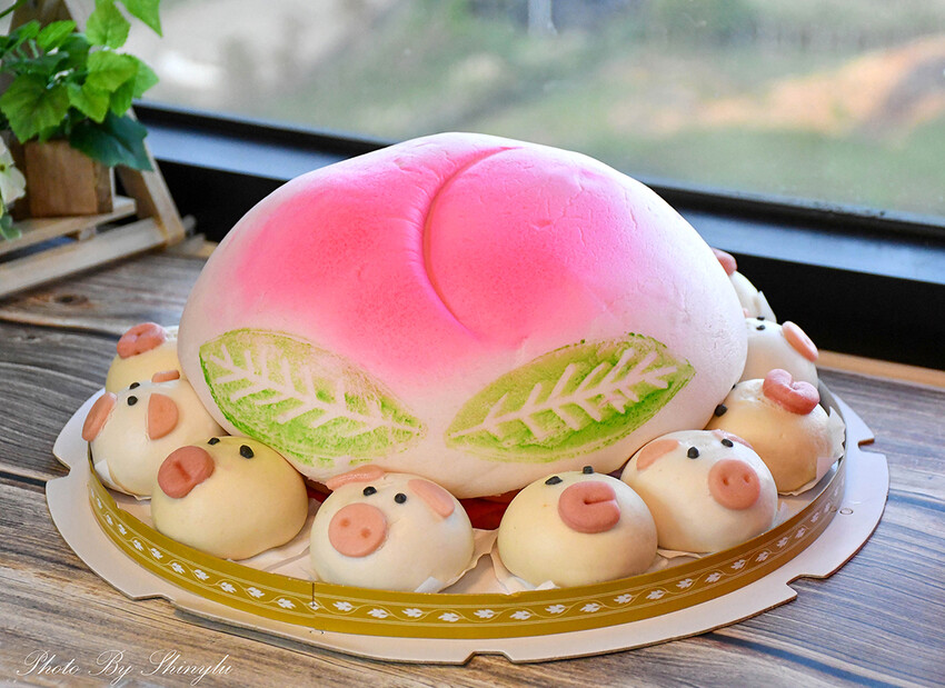 一般生日蛋糕落伍了！生日送這個才吸晴！