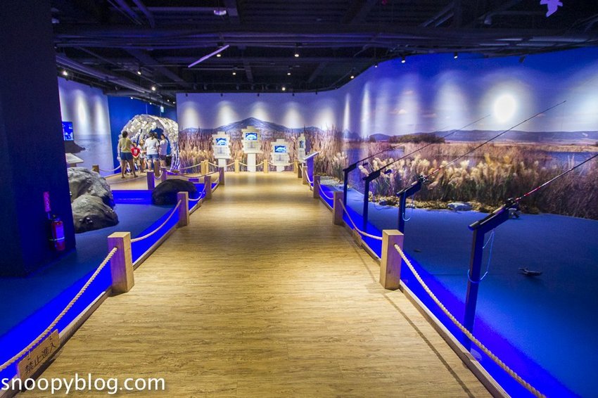 【台中親子景點】寶熊漁樂碼頭｜釣魚主題園區～挑戰全球唯一巨無霸釣魚機、體驗虛擬釣魚、親子DIY、美式遊樂場