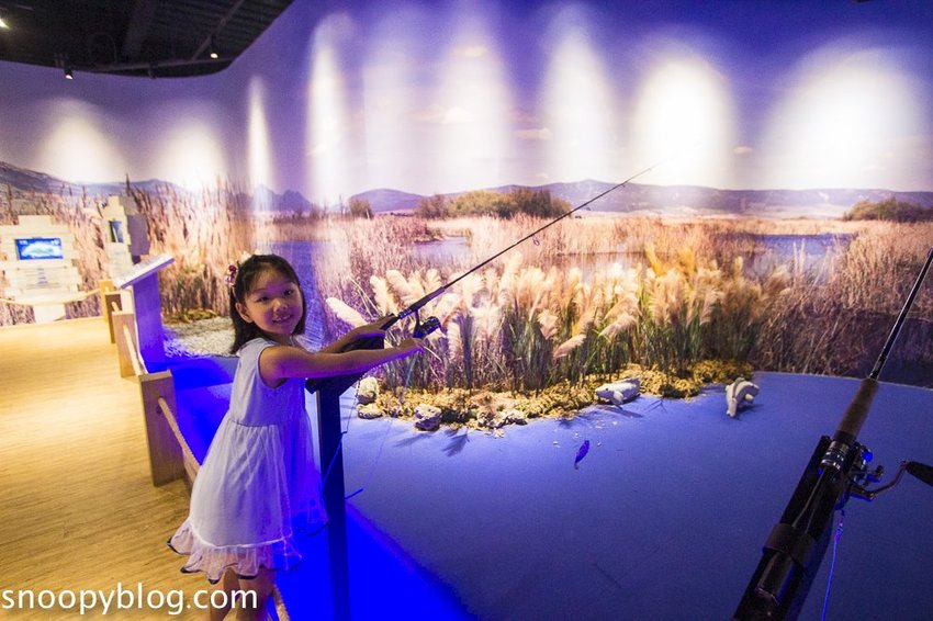 【台中親子景點】寶熊漁樂碼頭｜釣魚主題園區～挑戰全球唯一巨無霸釣魚機、體驗虛擬釣魚、親子DIY、美式遊樂場