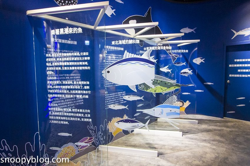 【台中親子景點】寶熊漁樂碼頭｜釣魚主題園區～挑戰全球唯一巨無霸釣魚機、體驗虛擬釣魚、親子DIY、美式遊樂場