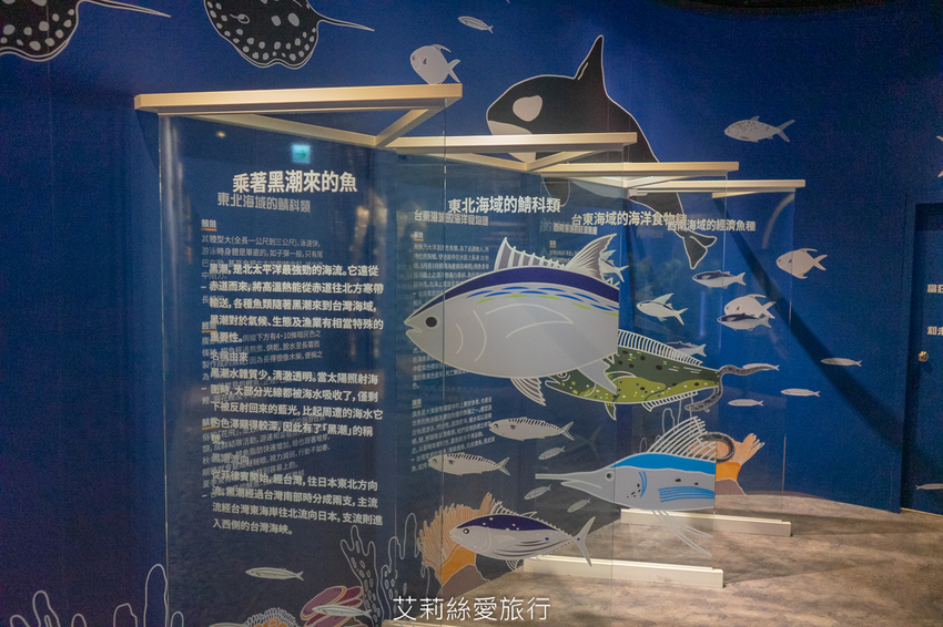 台中親子景點》寶熊漁樂碼頭 超好玩釣魚主題園區 免出海就能釣魚 巨無霸釣魚機、DIY手作適合全家大小 - 艾莉絲愛旅行