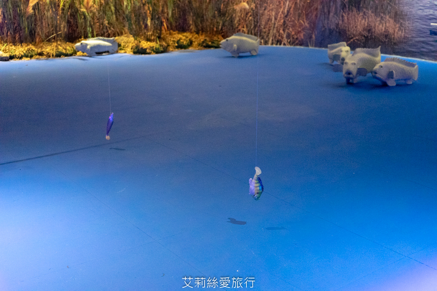 台中親子景點》寶熊漁樂碼頭 超好玩釣魚主題園區 免出海就能釣魚 巨無霸釣魚機、DIY手作適合全家大小 - 艾莉絲愛旅行