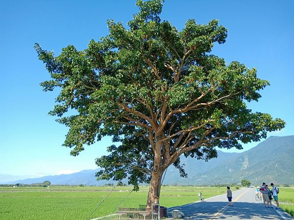 69776947_2439736729623612_4473012253267853312_n