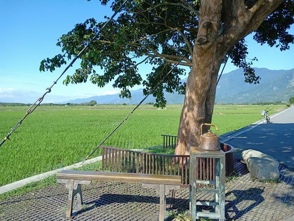 69277201_2697570060254410_3524471294336696320_n