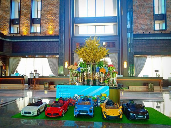 69357287_2330822587178607_5301217703262945280_n