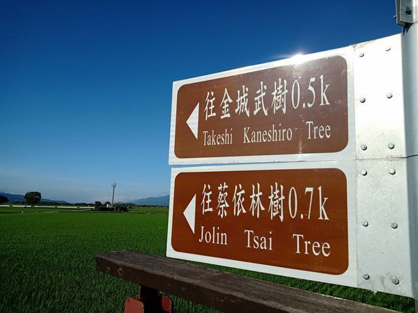 69815472_2359839494289680_7578784906952572928_n