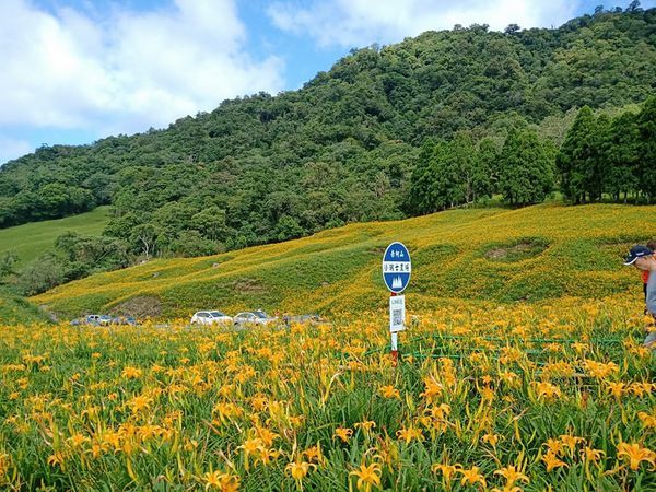 69460965_726808047752736_1793595595693228032_n