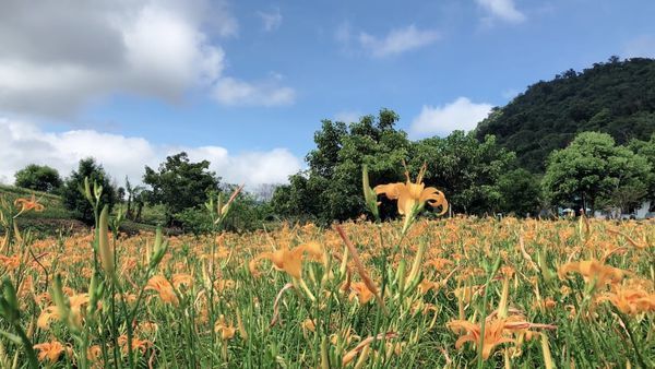 69365770_2113607795609814_2103925378174156800_n