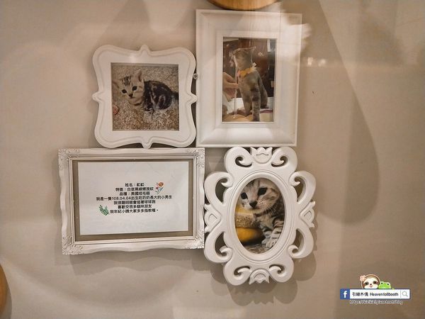 【嘉義】LiLiKoKo哩哩釦釦午茶廚房 - 愛麗絲夢遊層層仙境，黏土王國的午茶宴，柴郡貓慵懶微笑，編織一齣美食與藝文的俏皮相逢。