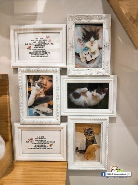 【嘉義】LiLiKoKo哩哩釦釦午茶廚房 - 愛麗絲夢遊層層仙境，黏土王國的午茶宴，柴郡貓慵懶微笑，編織一齣美食與藝文的俏皮相逢。