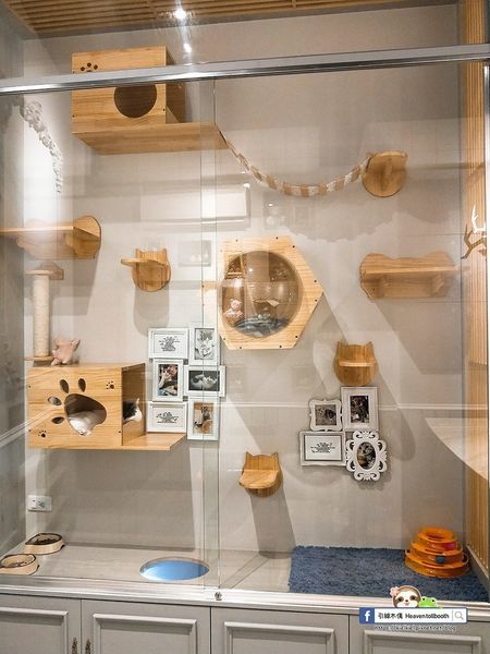 【嘉義】LiLiKoKo哩哩釦釦午茶廚房 - 愛麗絲夢遊層層仙境，黏土王國的午茶宴，柴郡貓慵懶微笑，編織一齣美食與藝文的俏皮相逢。