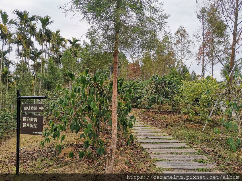 IMG_20191228_151009.jpg IMG_20191228_151009.jpg