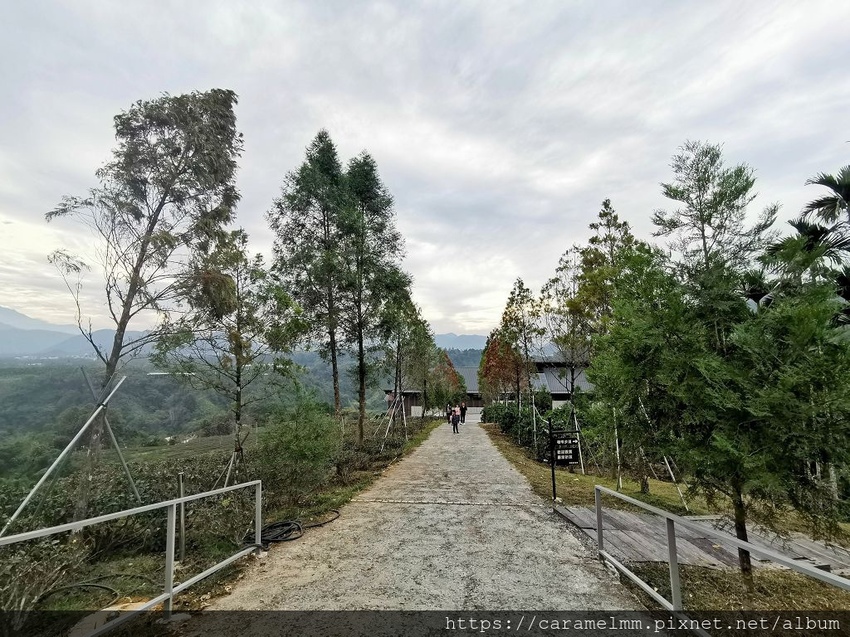 IMG_20191228_151212.jpg IMG_20191228_151212.jpg