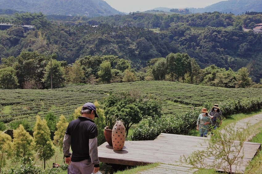 鹿篙咖啡莊園環抱魚池鄉茶園景觀咖啡廳，氣勢茶山讓人心曠神怡