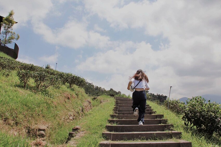 鹿篙咖啡莊園環抱魚池鄉茶園景觀咖啡廳，氣勢茶山讓人心曠神怡