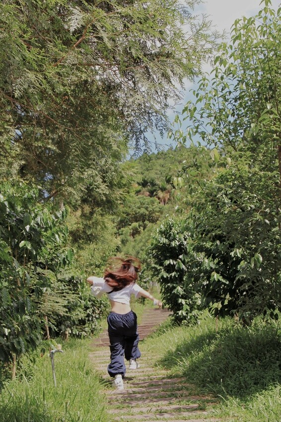 鹿篙咖啡莊園環抱魚池鄉茶園景觀咖啡廳，氣勢茶山讓人心曠神怡