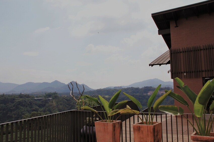 鹿篙咖啡莊園環抱魚池鄉茶園景觀咖啡廳，氣勢茶山讓人心曠神怡