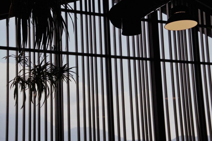 鹿篙咖啡莊園環抱魚池鄉茶園景觀咖啡廳，氣勢茶山讓人心曠神怡