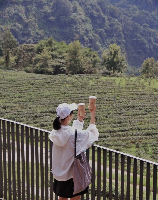鹿篙咖啡莊園環抱魚池鄉茶園景觀咖啡廳，氣勢茶山讓人心曠神怡