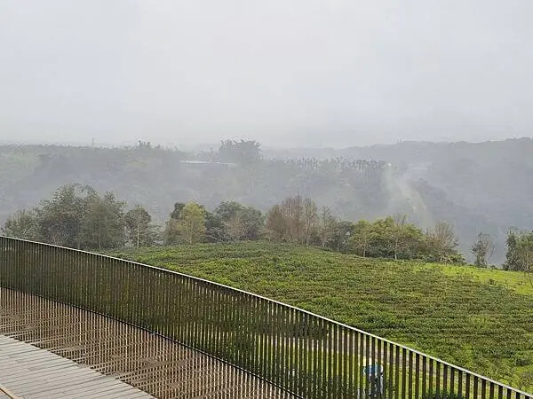 南投鹿蒿咖啡莊園 南投鹿蒿咖啡莊園