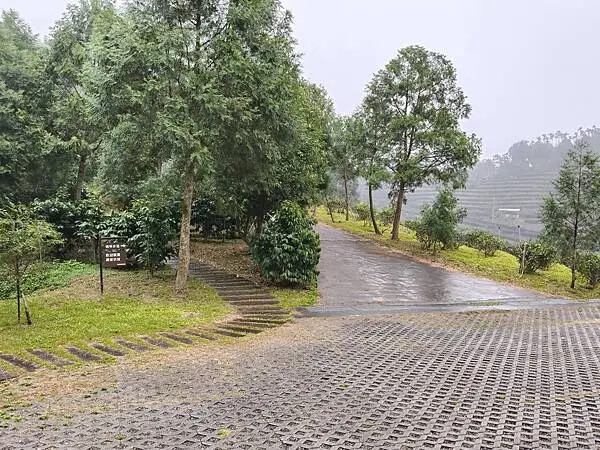 南投鹿蒿咖啡莊園 南投鹿蒿咖啡莊園