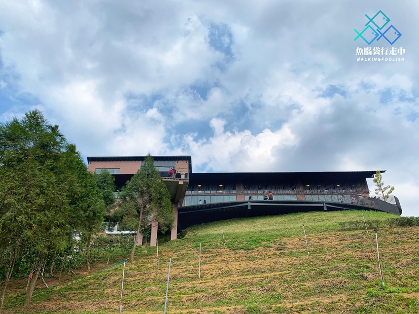 魚腦袋行走中_南投景點_鹿篙咖啡莊園 (1).jpg