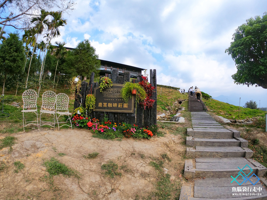 魚腦袋行走中_南投景點_鹿篙咖啡莊園 (44).jpg