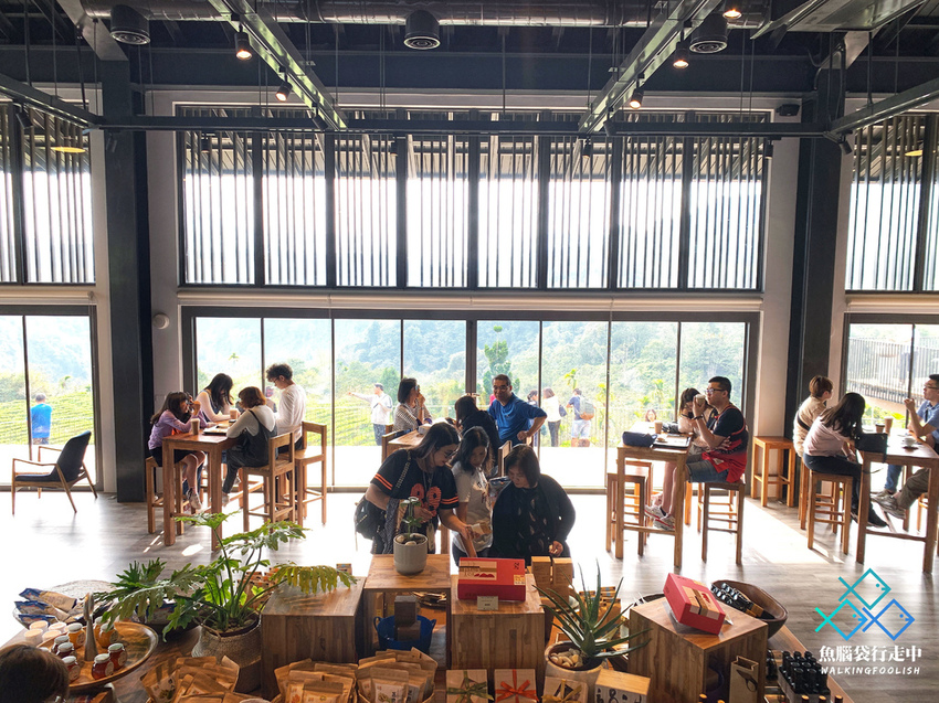 魚腦袋行走中_南投景點_鹿篙咖啡莊園 (30).jpg